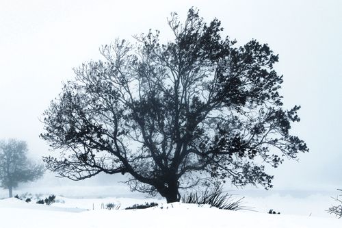 Free stock photo of cold, freez, landscape Stock Photo