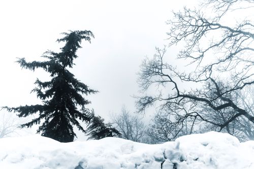 Free stock photo of cold, freez, landscape Stock Photo