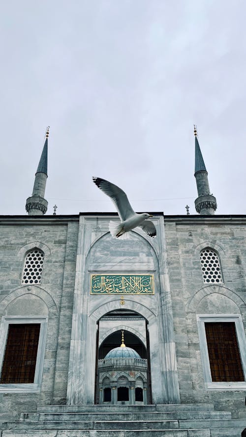 モスクの無料の写真素材