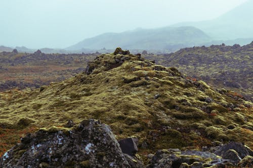 Landscape of Rocky Mountains Covered in Grass