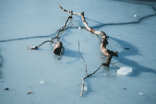 Foto profissional grátis de água, bastão, com frio