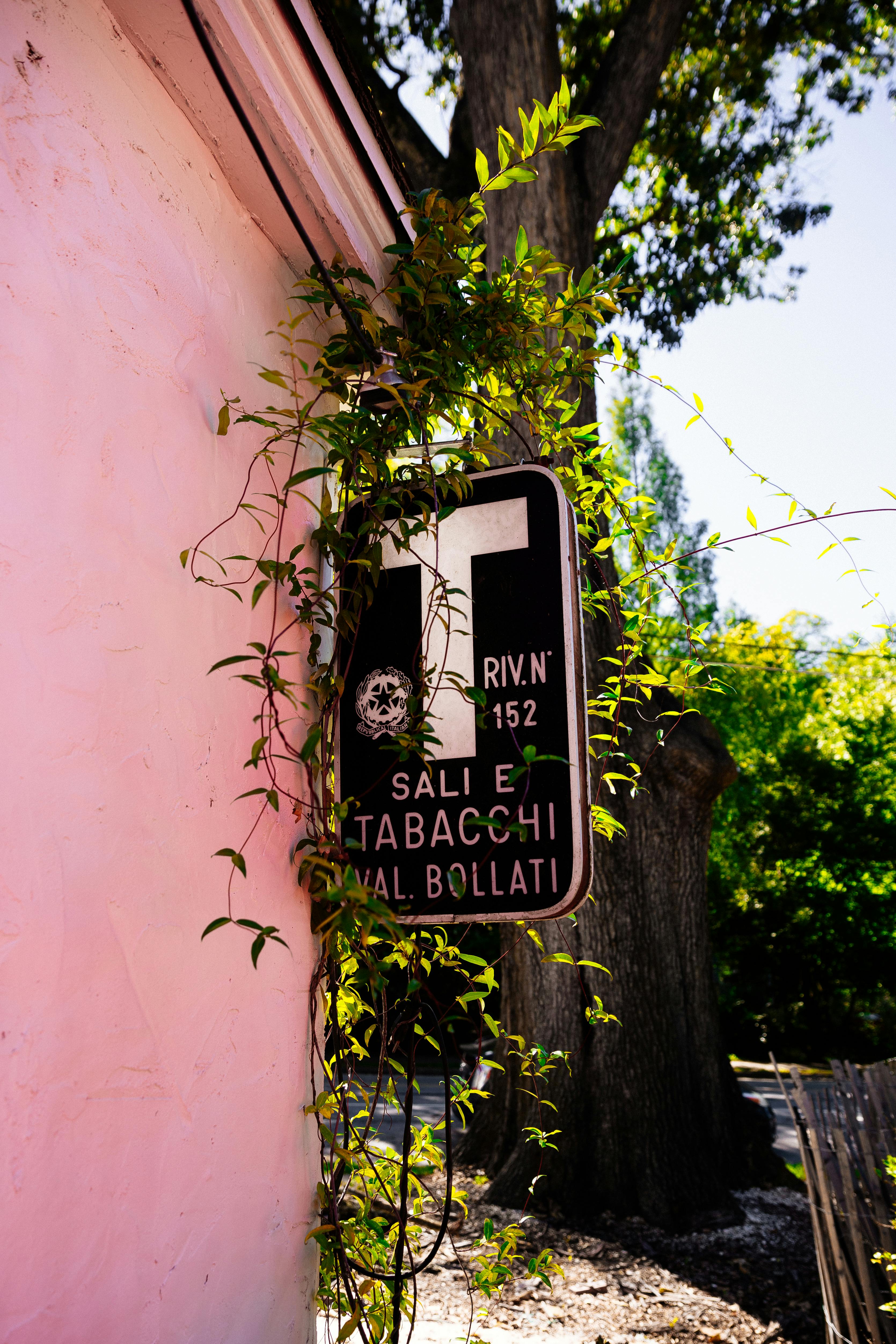 A classic tobacco shop sign with foliage on a pink building in Atlanta, Georgia.