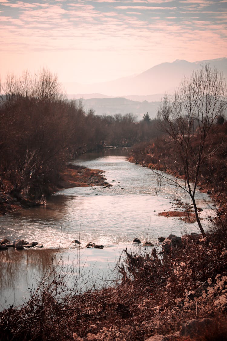 View Of A River Surrounded By Autumnal Trees And Shrubs 