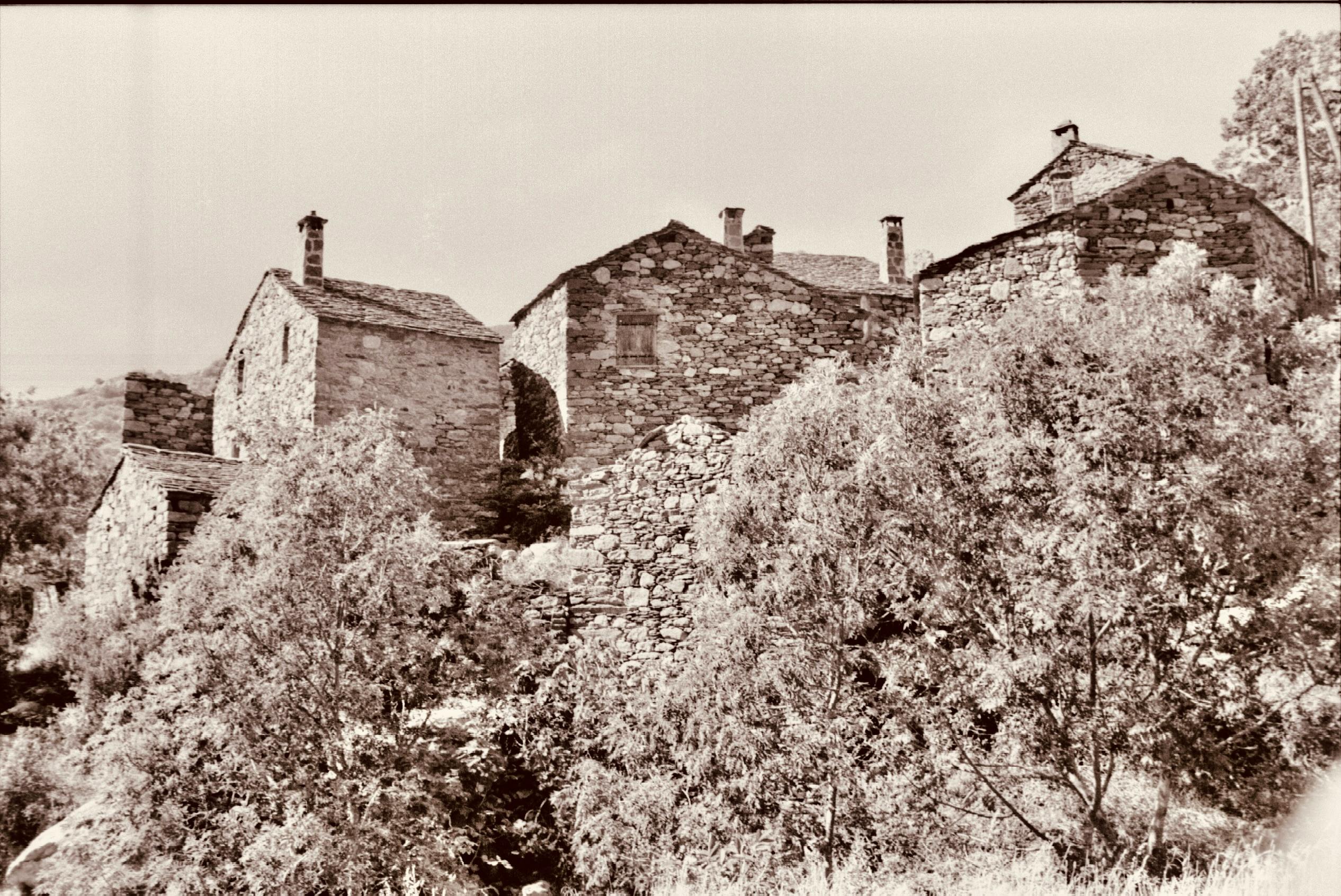 A vintage sepia image of old stone houses surrounded by trees in Bédarieux, France.