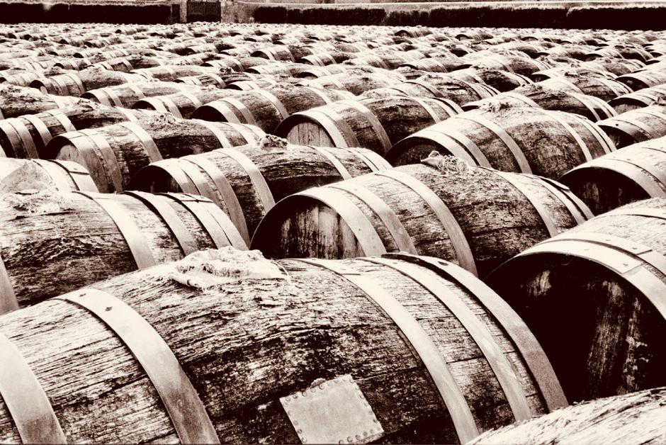 oak wooden wine barrels aging in french vineyard cellar