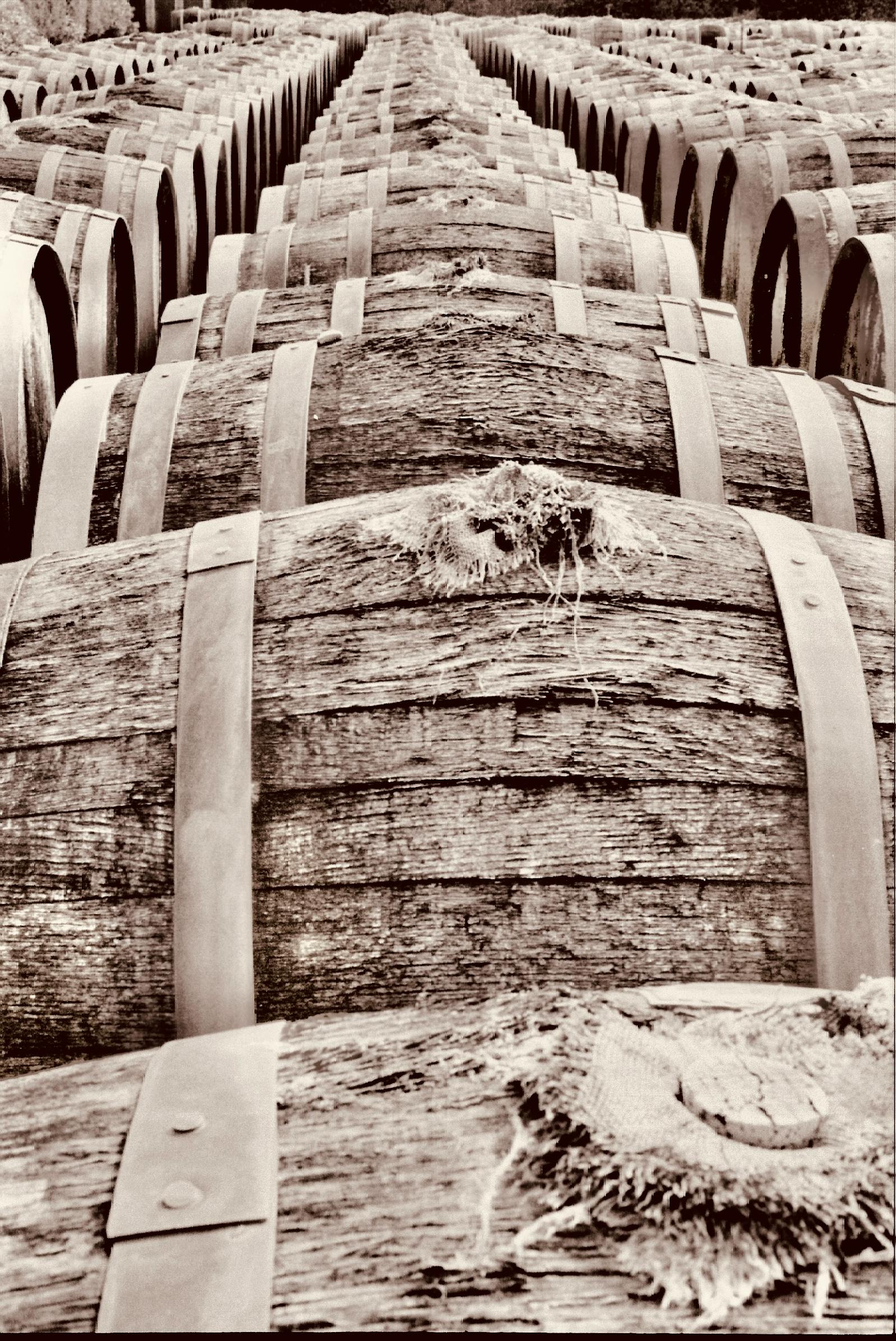 Wine Barrels Photos, Download The BEST Free Wine Barrels Stock Photos