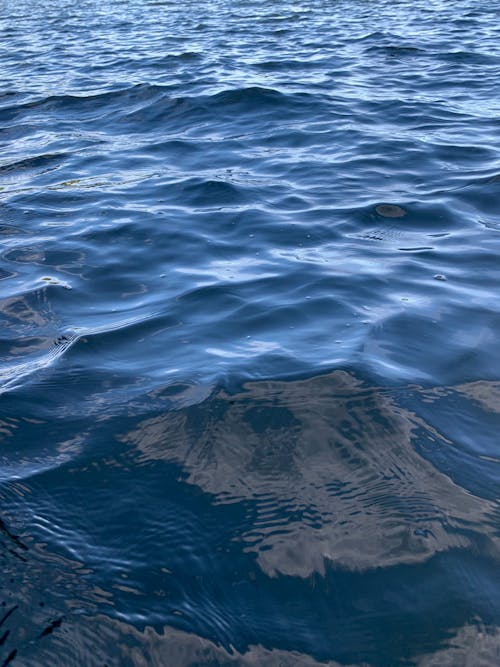 Foto profissional grátis de lago azul, mar aberto, marolas
