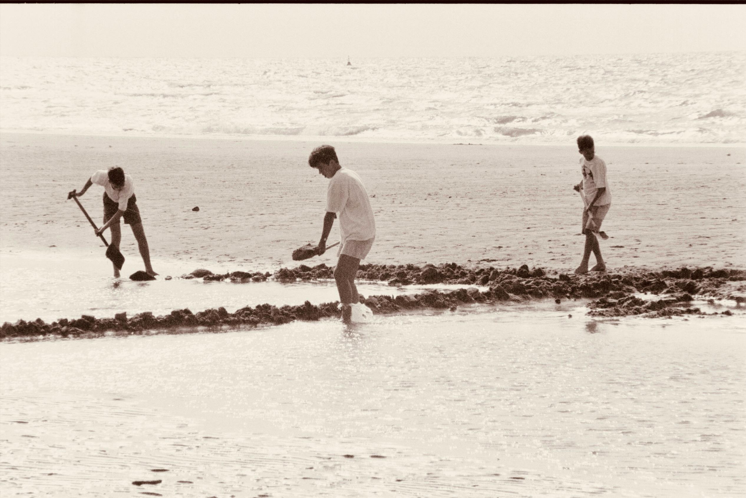 UNE students ‘Restore the Shore’ to strengthen campus climate resilience — Photo by Emmanuel Codden on Pexels