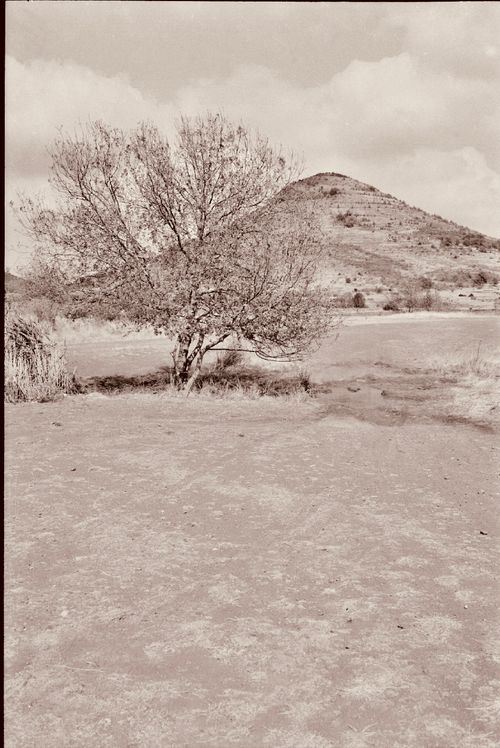 Desert Taklimakan Thar The Maigaiti Model: From Shifting Sands to Green Barriers