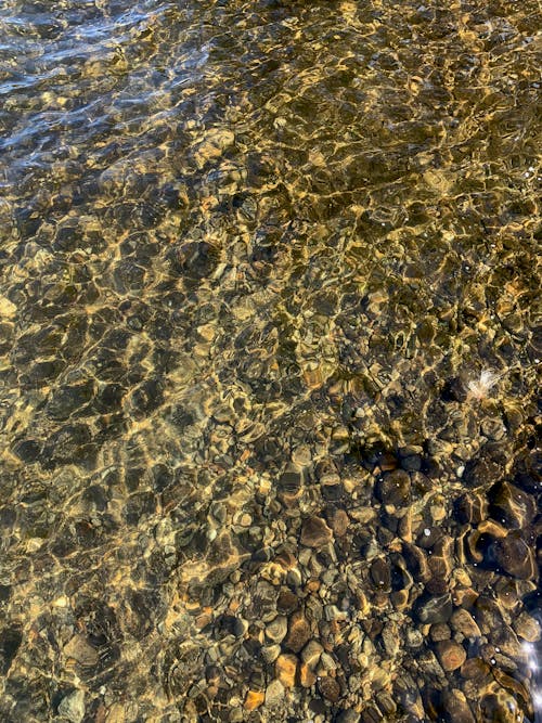 Immagine gratuita di acqua, acqua cristallina, lago chiaro