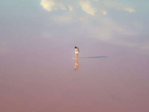 Foto profissional grátis de água cor de rosa, beleza, de pé