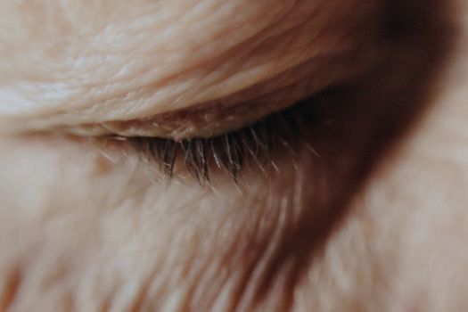Detailed macro shot of a closed eye showcasing natural textures and eyelashes.