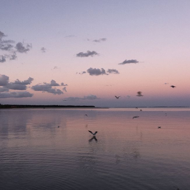 Serene sunset over the sea with birds flying, reflecting peaceful nature.