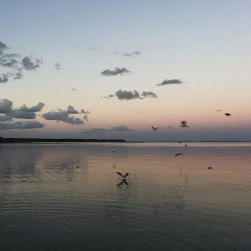 akşam, deniz, gökyüzü içeren Ücretsiz stok fotoğraf