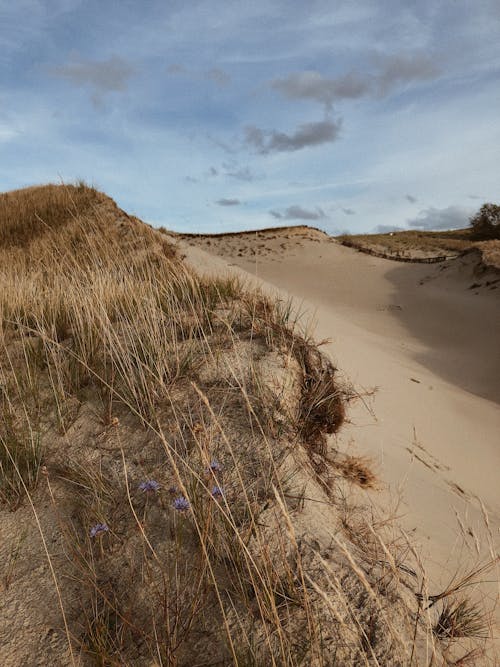 Free stock photo of blue, dunes, nature