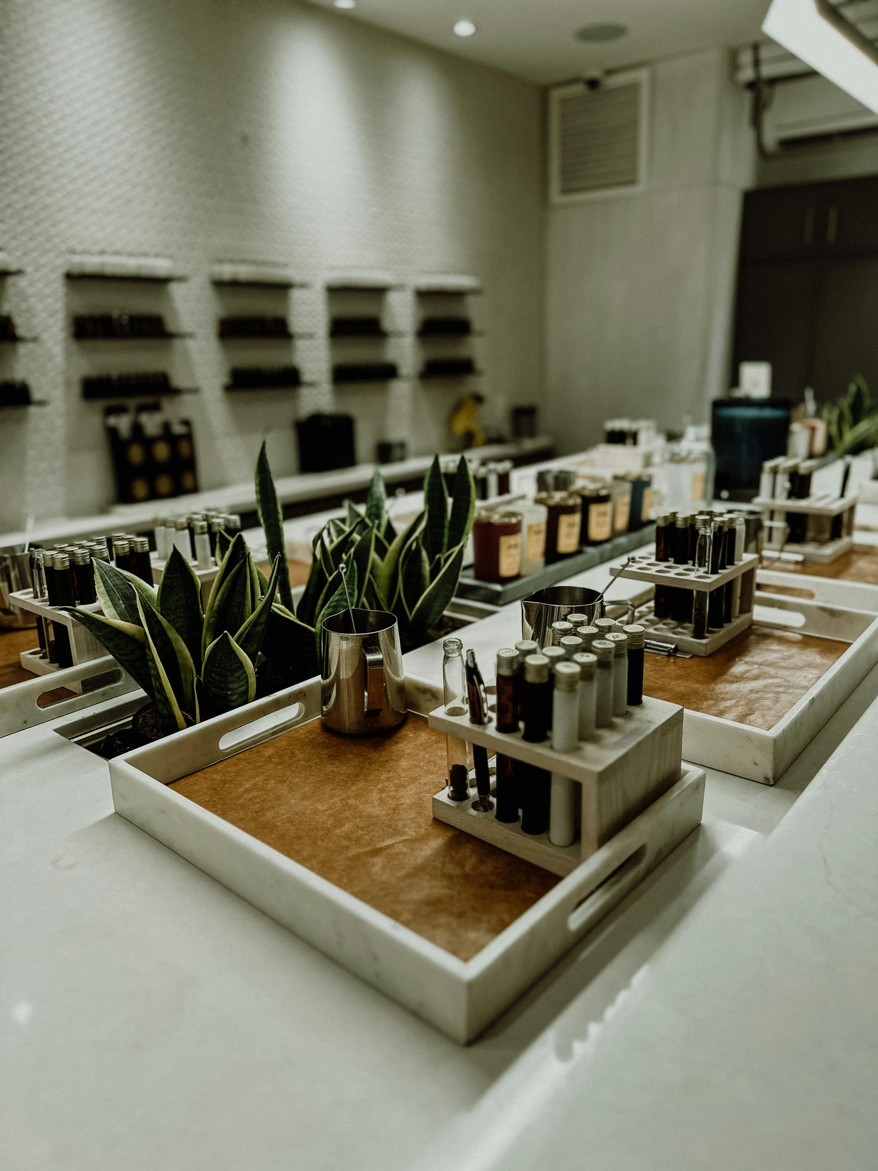 Modern Trays And Pictureframes Photos, Download The BEST Free Modern