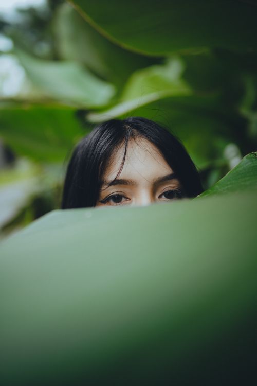 Free A woman partially hidden, peeking through lush green tropical leaves, evoking curiosity. Stock Photo
