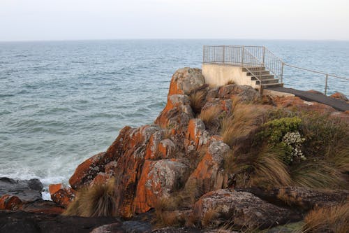 Безкоштовне стокове фото на тему «Берегова лінія, камені, море»