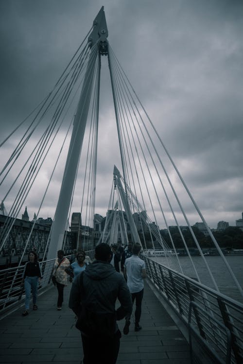 Imagine de stoc gratuită din călătorie, curcan, fotografiere verticală