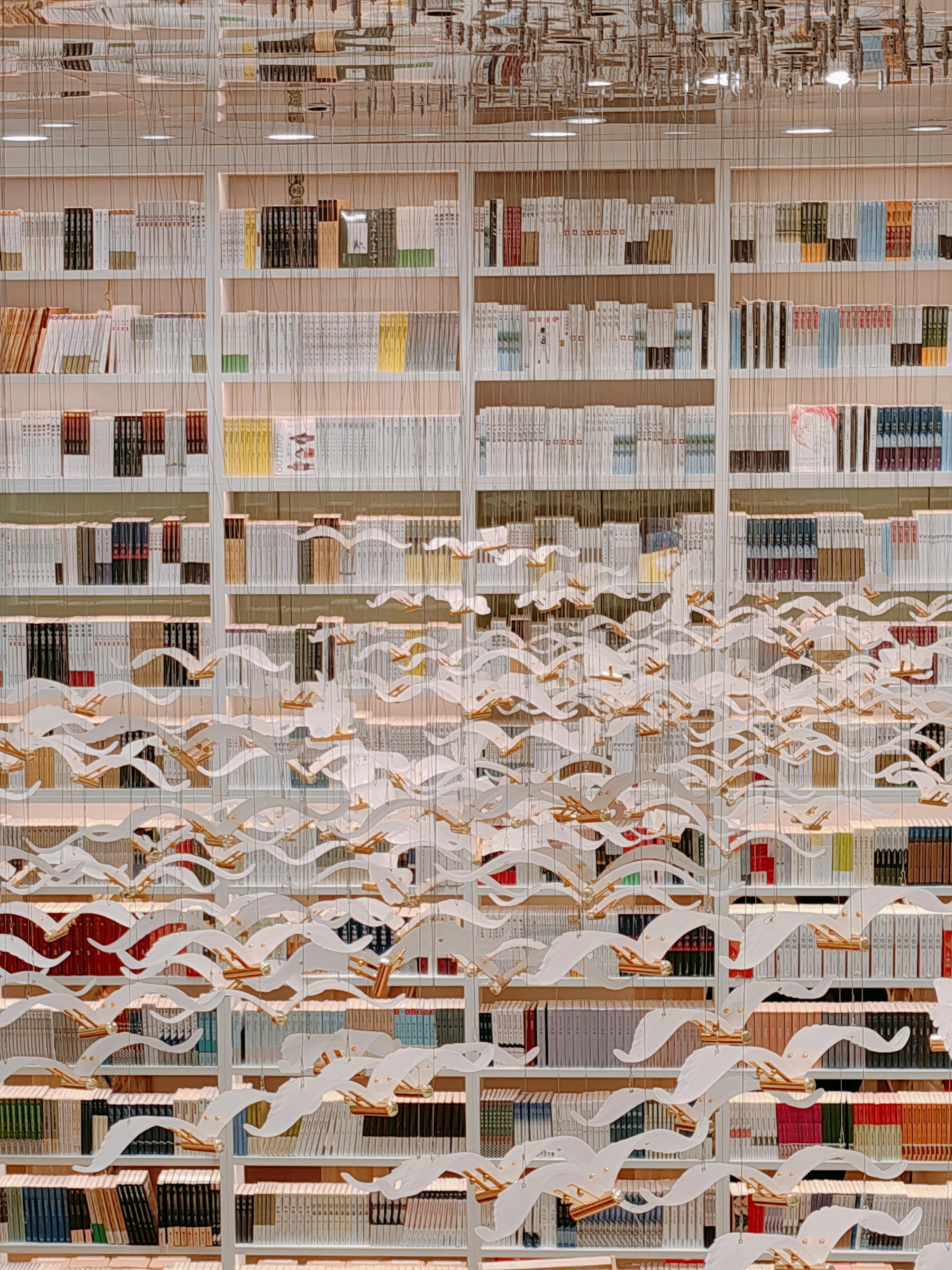 Paper Cranes Photos, Download The BEST Free Paper Cranes Stock Photos & HD Images