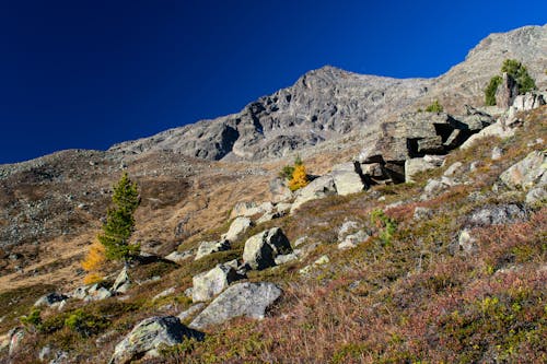 Free stock photo of alps, blue skies, colors of autumn