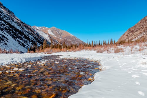 Stream in Winter