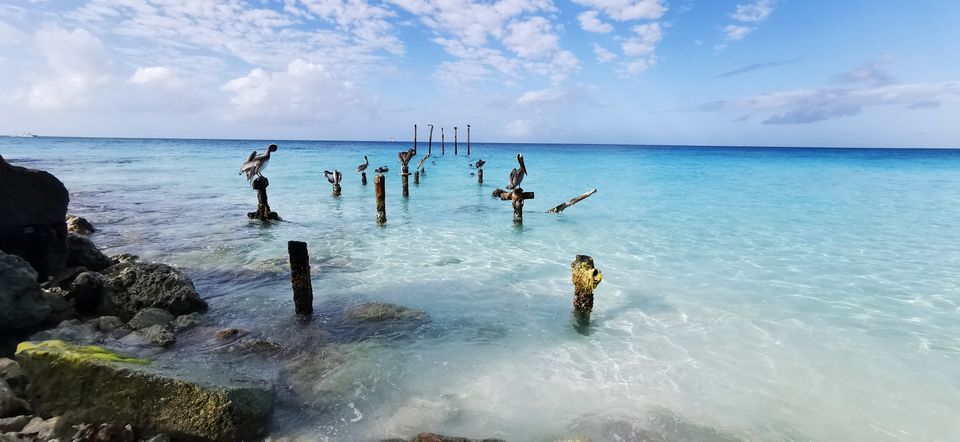 in Aruba