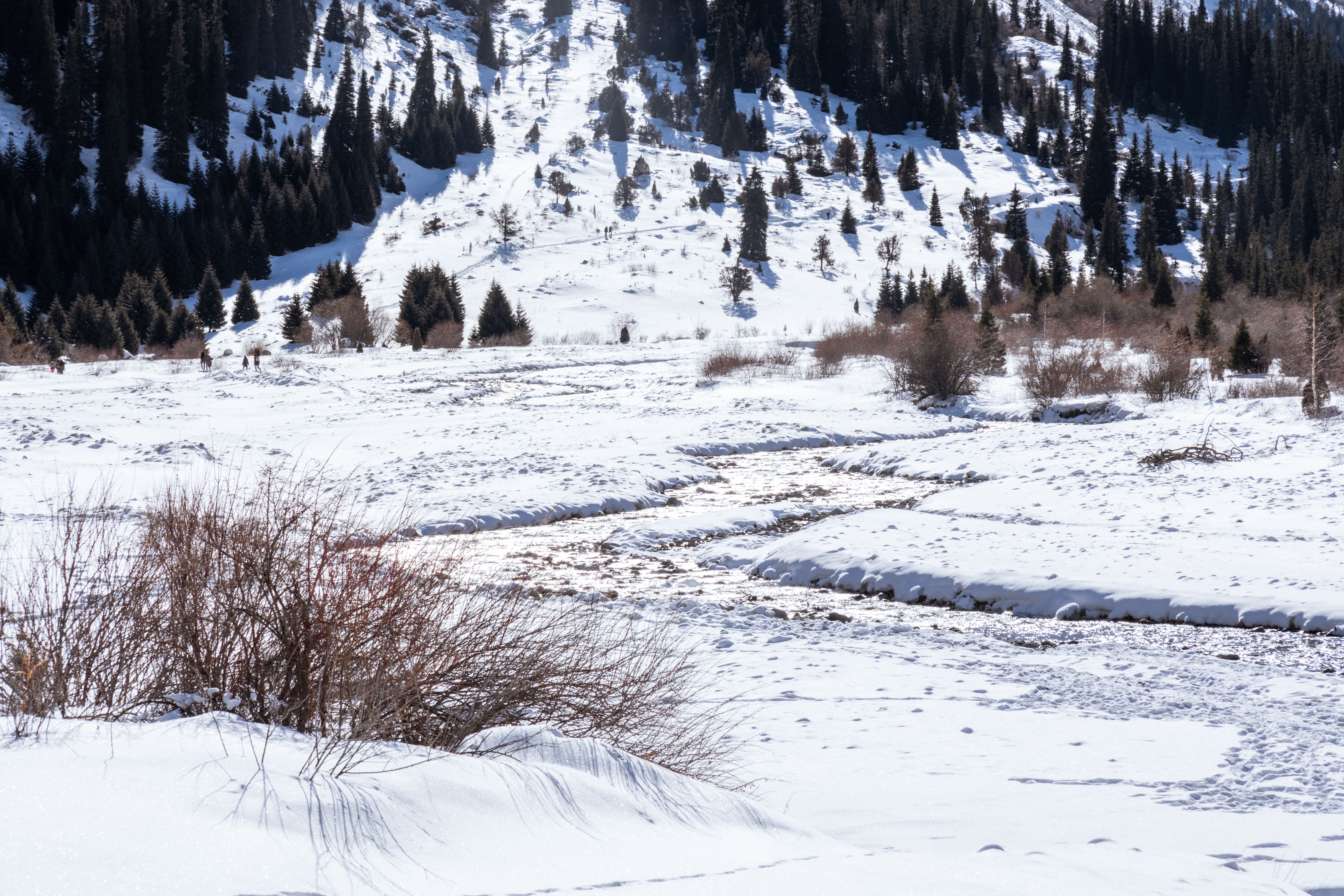 Frozen Mountain Rover · Free Stock Photo