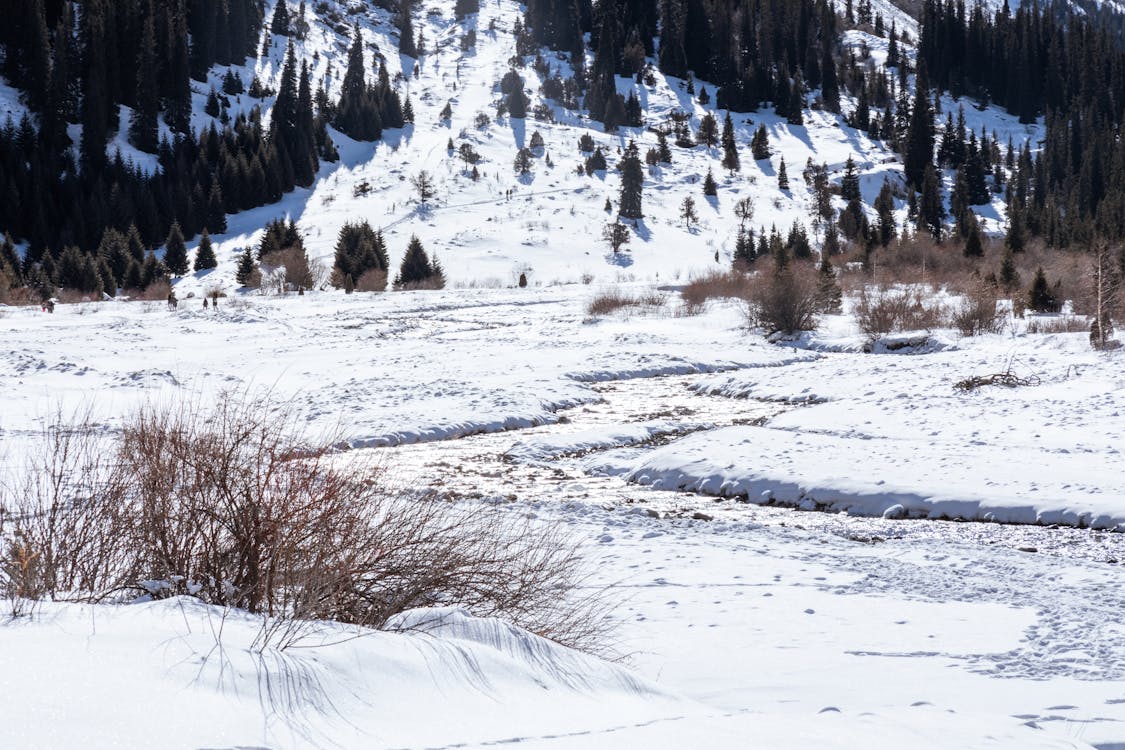 Frozen Mountain Rover