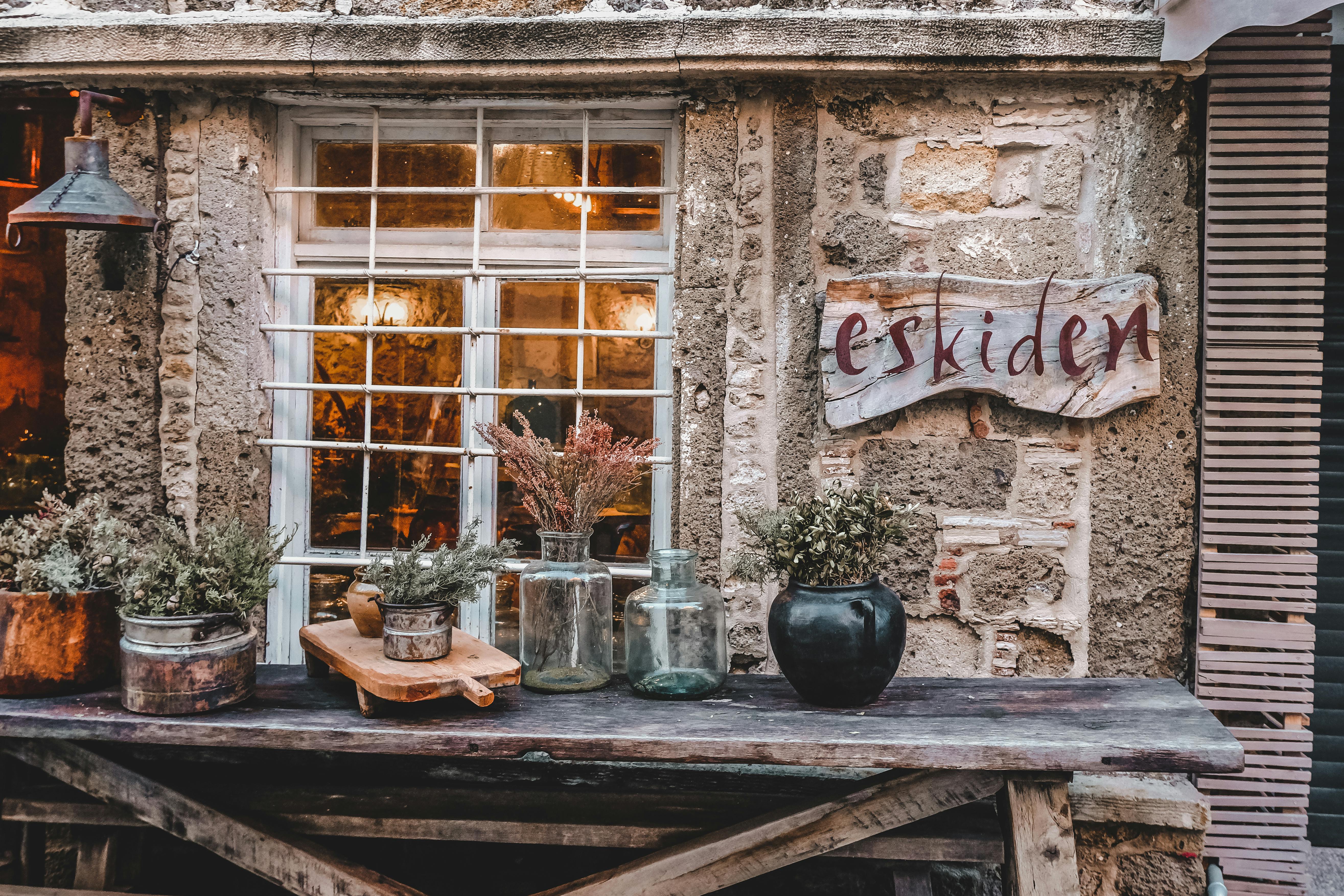 Plants near Windows · Free Stock Photo