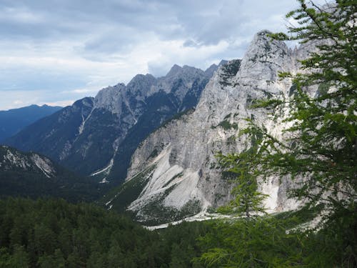 Gratis stockfoto met bergen, bergketen, Bos