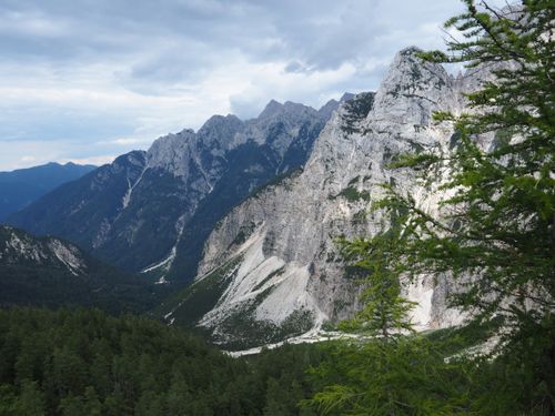 Free Majestic mountain range with lush forest in breathtaking alpine scenery. Stock Photo