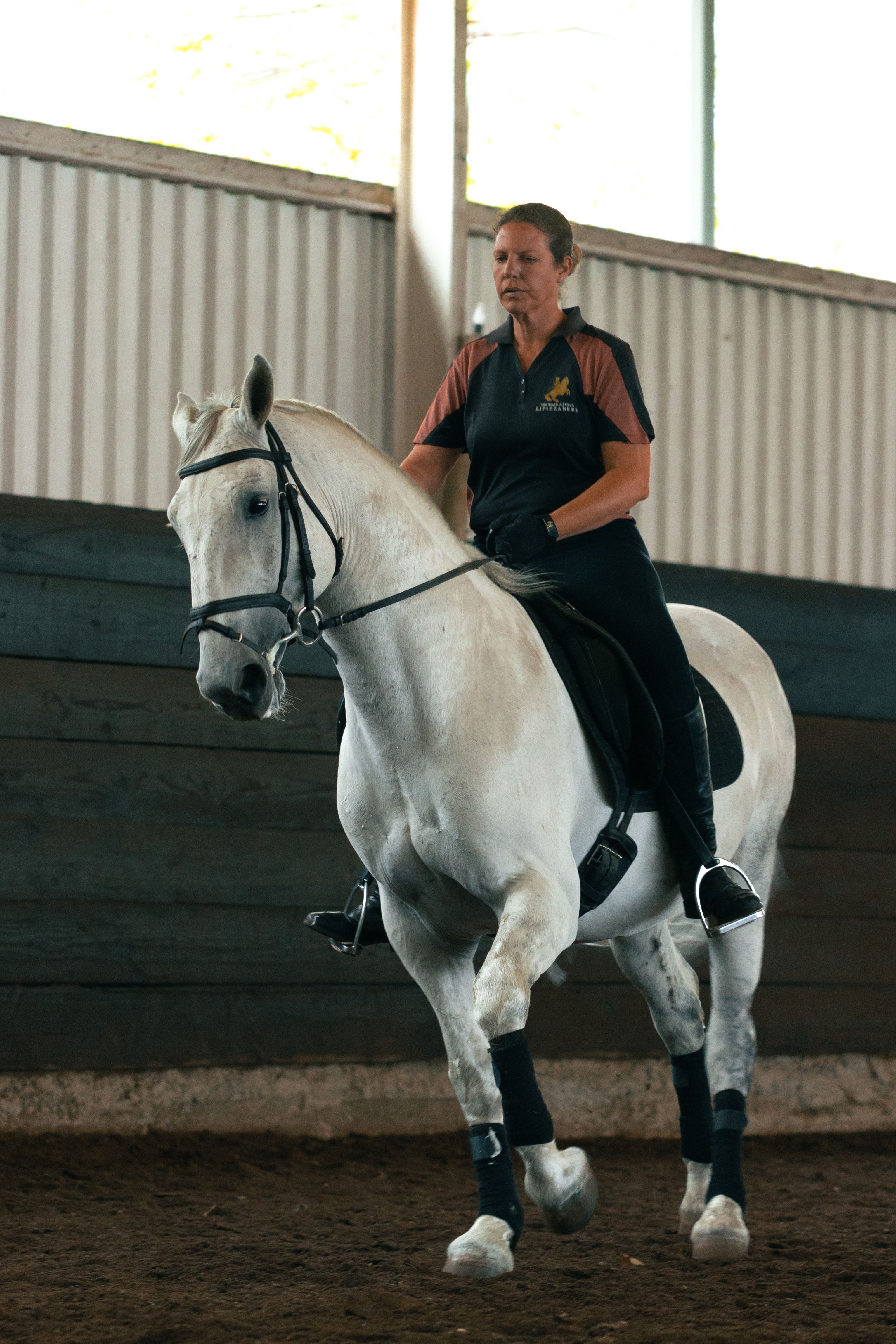 Débardeur Fitness Femme - Coupe Classique Et Motif Fun "Jolie Bête De Vache" Pour Le Sport