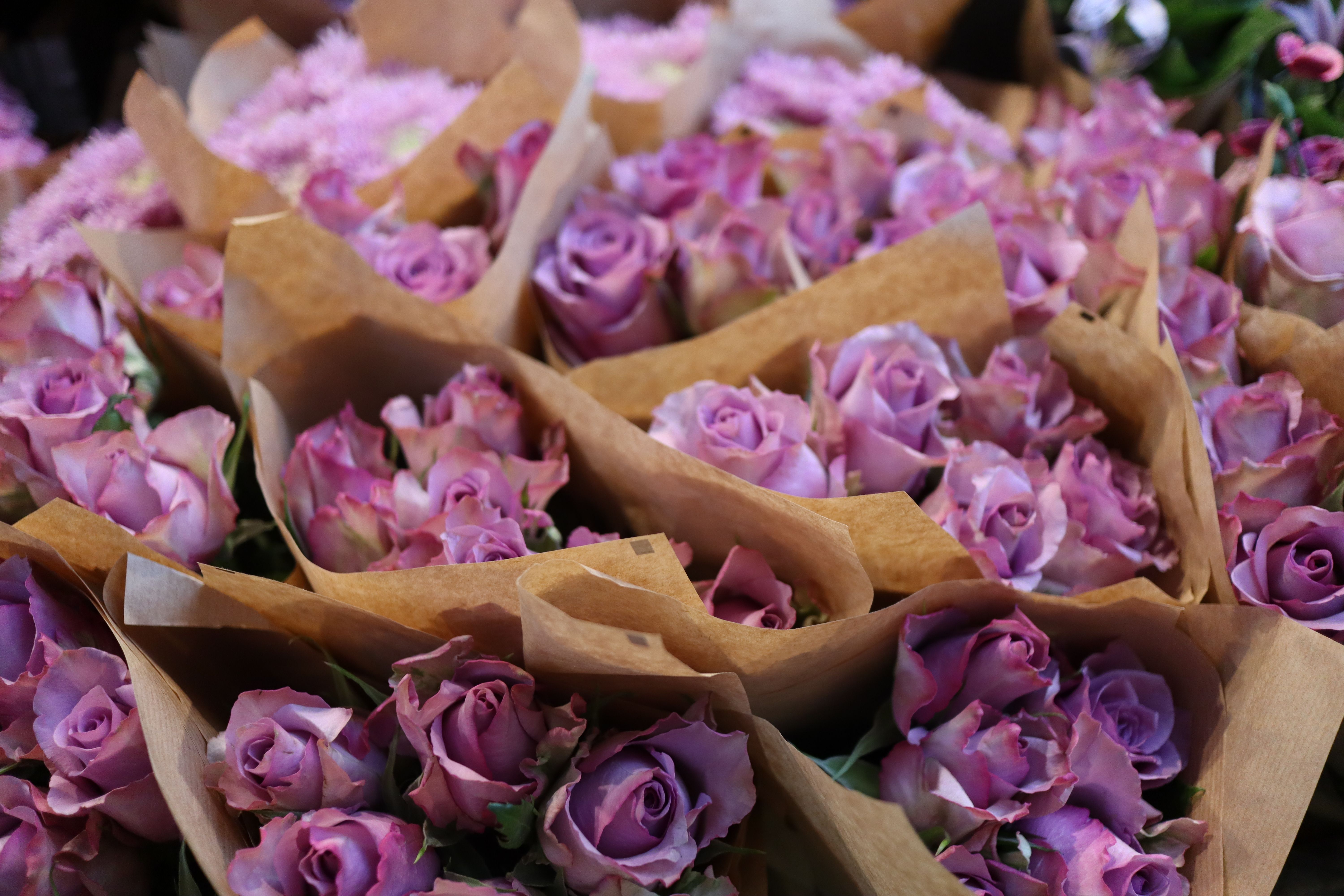 Flower delivery in Charlotte, NC