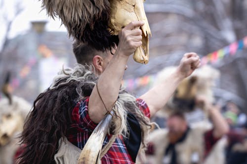 Gratis lagerfoto af dyreskalle, fejre, Festival