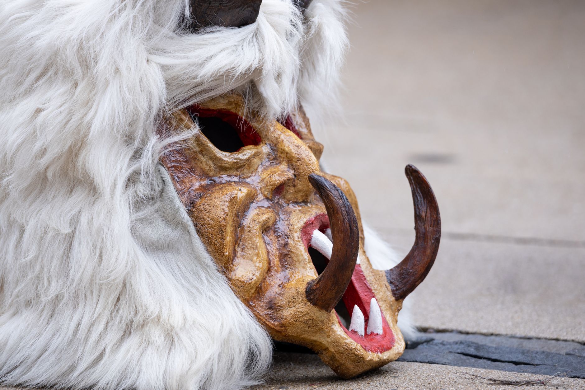 Close-up of a traditional ceremonial animal mask with fur and tusks lying on the ground.