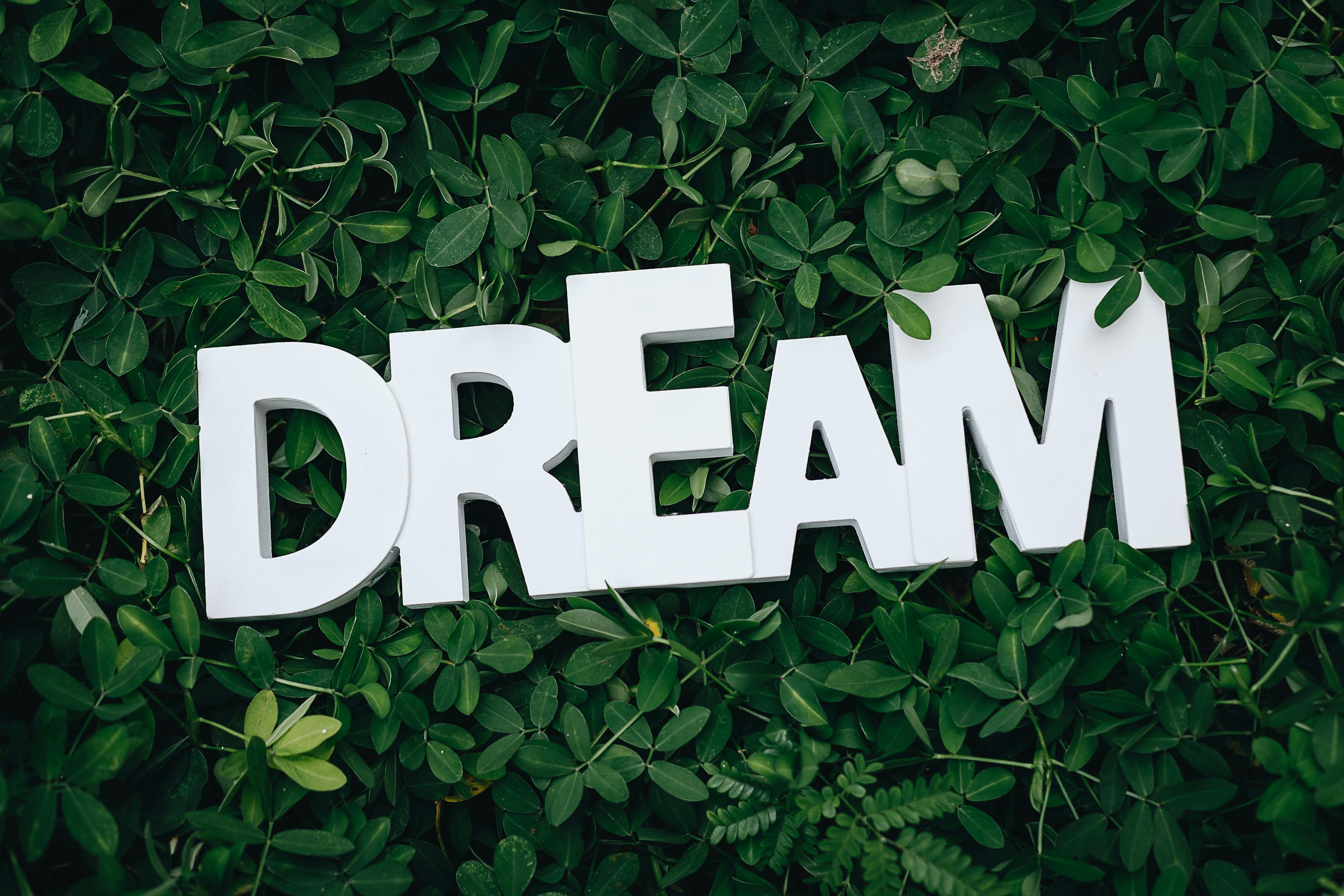 Dreams Wallpapers 1080p  1280x800 Wallpaper  teahubio