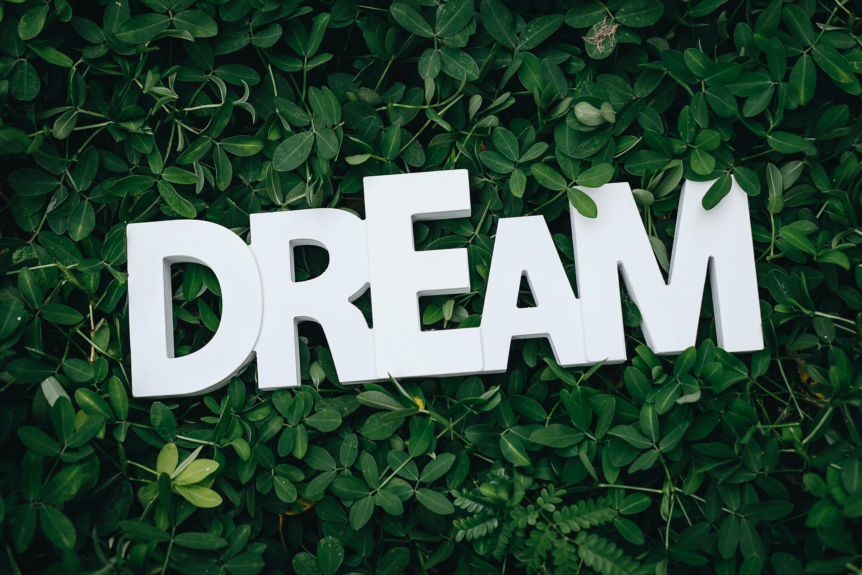 dream wallpaper hd