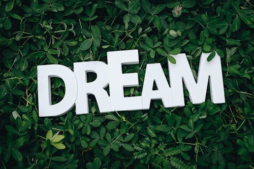 Free Dream Text on Green Leaves Stock Photo
