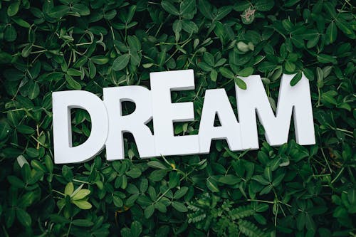 14 Interesting Psychological Facts About Dreams | Health Attack