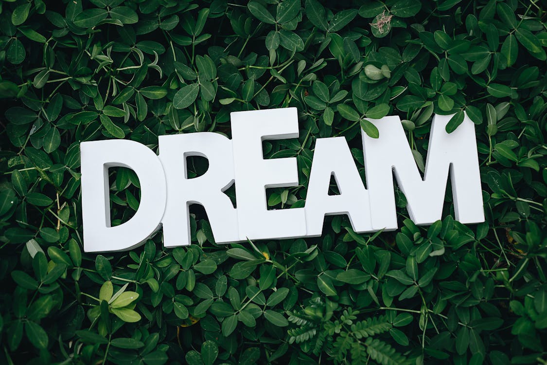 Free Dream Text on Green Leaves Stock Photo