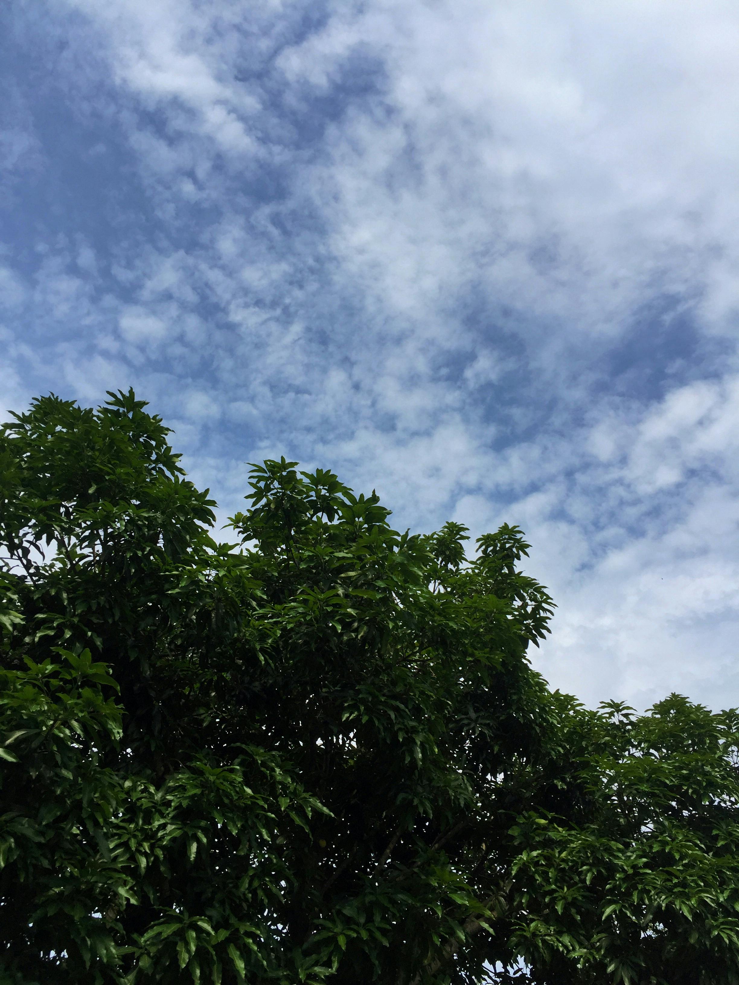 Free stock photo of asia, blue sky