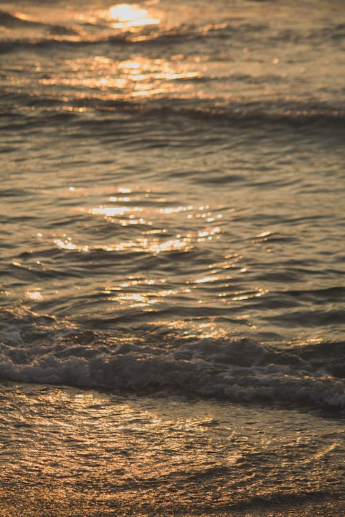 Foto profissional grátis de luz do sol, mar, marolas