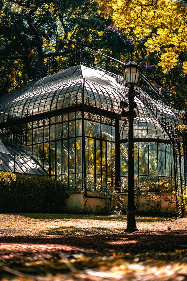 The Buenos Aires Botanical Garden