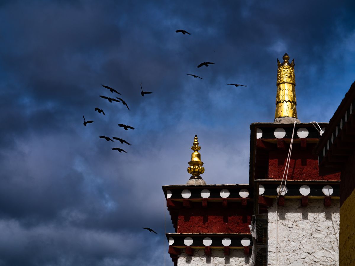 14 Day Spiritual Pilgrimage Retreat in Tibet 1