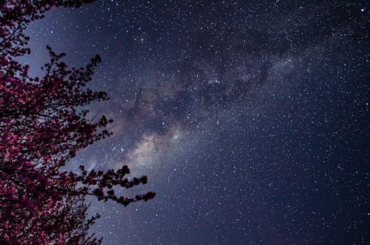 The Milky Way glows brightly over flowering branches, showcasing the night sky's beauty.