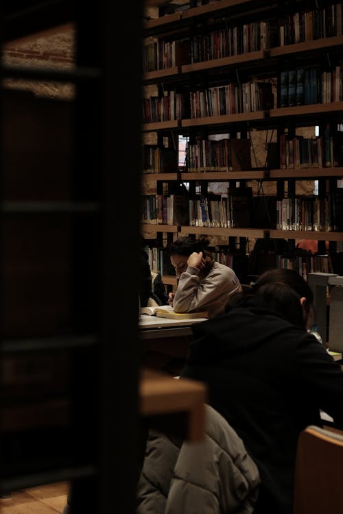 People Reading in Library