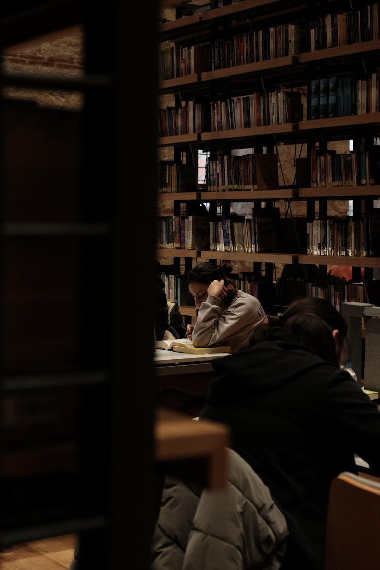 People Reading In Library