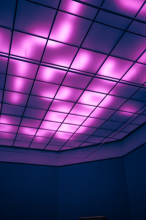 Foto profissional grátis de iluminado, luz rosa, muro