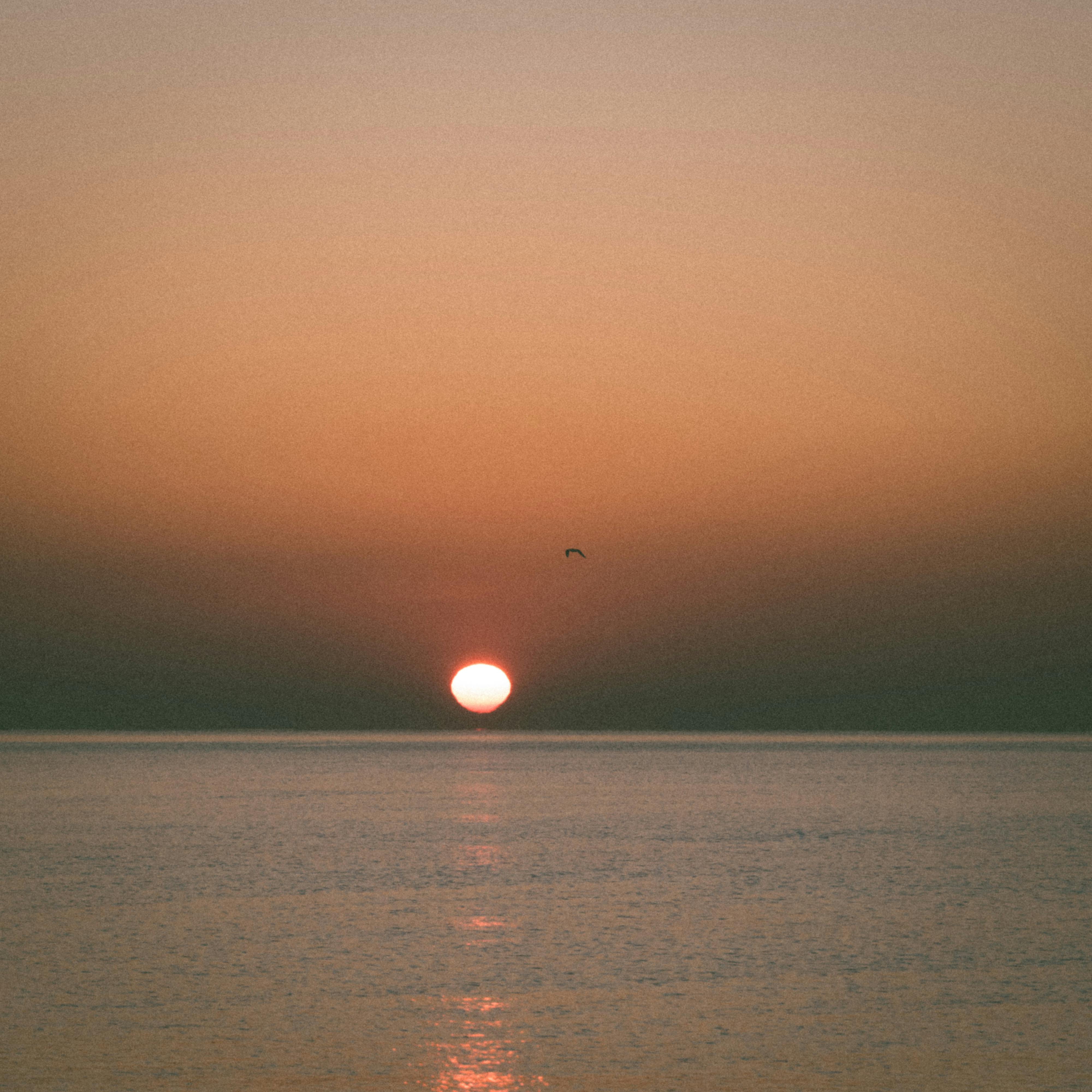 Serene ocean sunset with calm water and a vibrant sky, ideal for peaceful imagery.